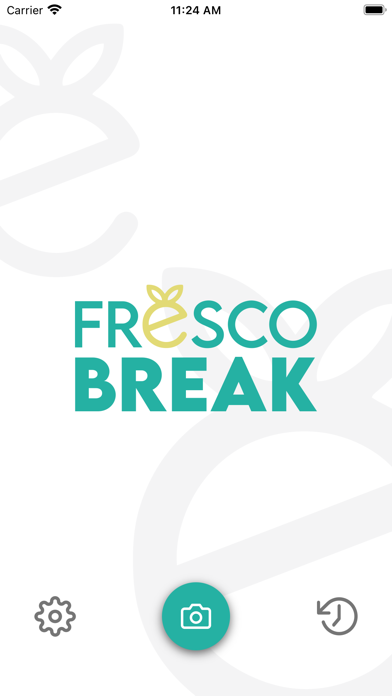 FrescoBreak Screenshot