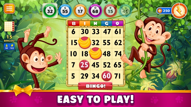 Pet Bingo: Bingo Game 2024 screenshot-3