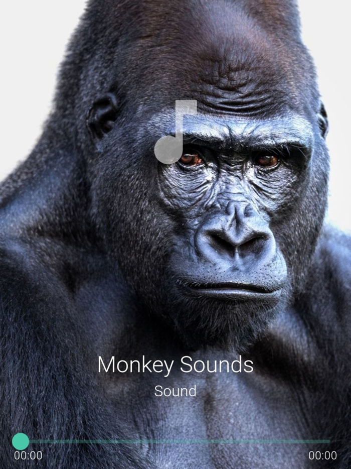 Monkey Sounds Pro