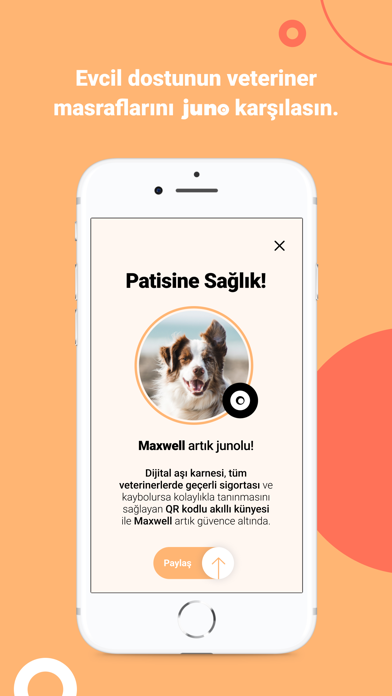 juno - Yeni Nesil Sigortacılık Screenshot