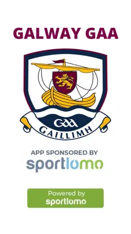 Game screenshot Galway GAA mod apk