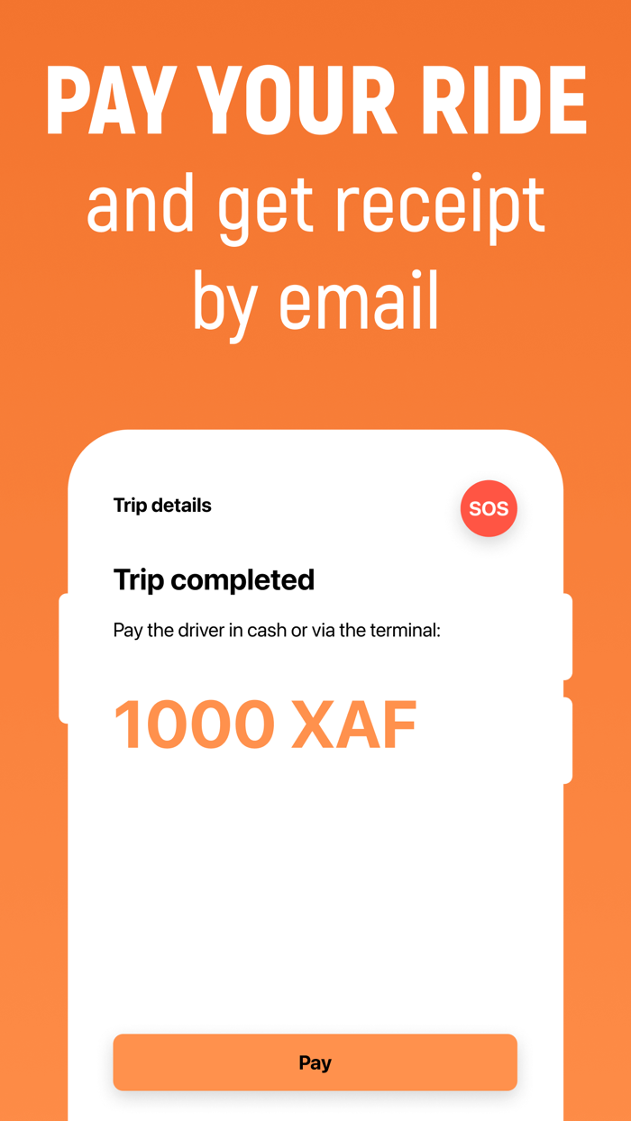 Allons-y City Taxi Rides Chad