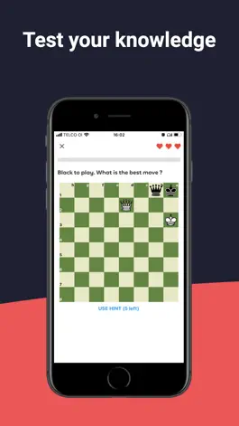 Game screenshot ChessNuts Mini-Games & Puzzles hack