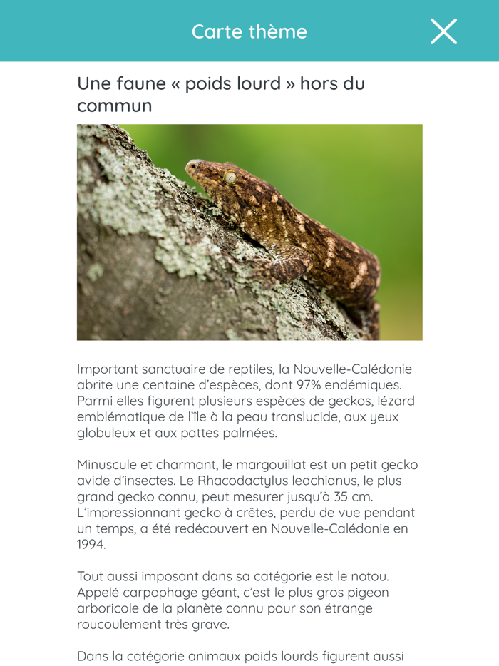 1001Lettres Nouvelle-Calédonie