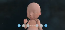 Game screenshot VR Fetus Home Player mod apk
