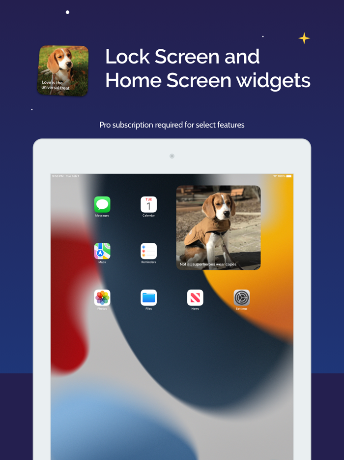 Puppy Therapy Calm and Sleep