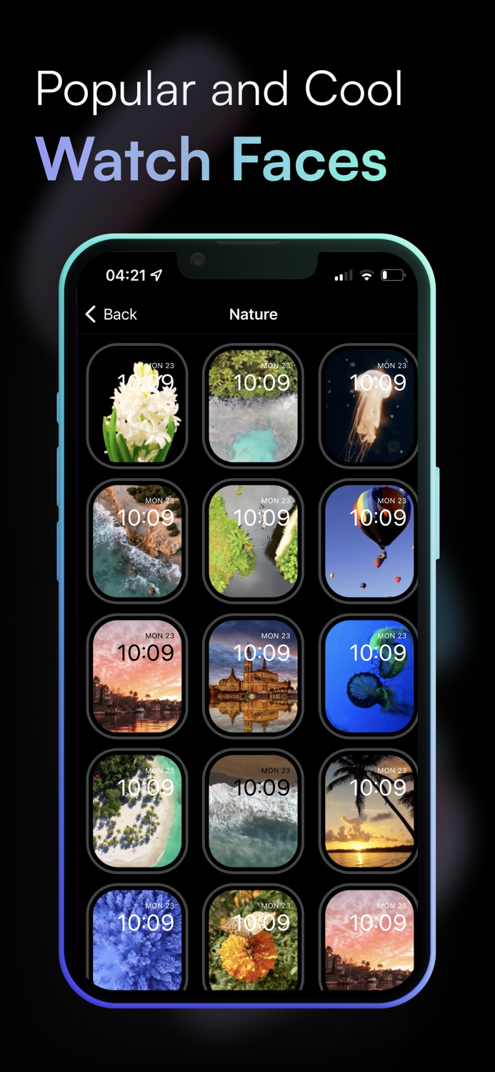 Lively  Watch Faces Gallery