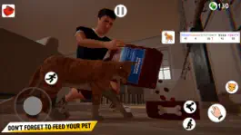 Game screenshot Pets Simulator apk