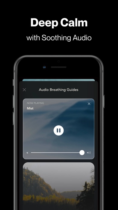 Resonate - Visual Breathingのおすすめ画像4