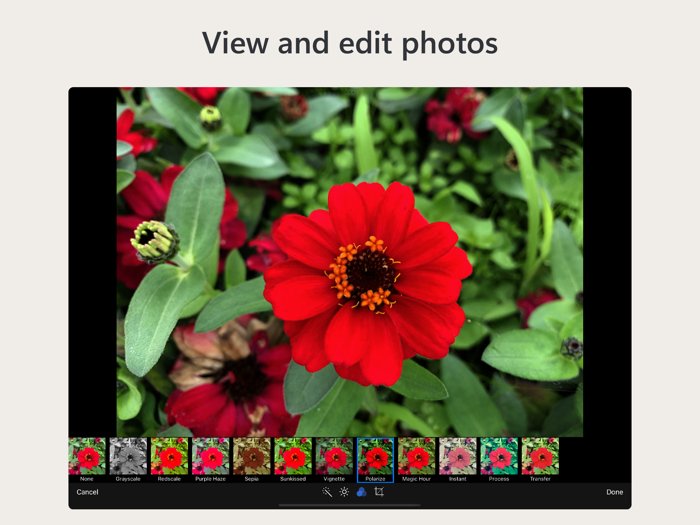 Owlfiles - File Manager