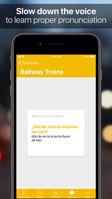 SpeakEasy Spanish Phrasebook Screenshot