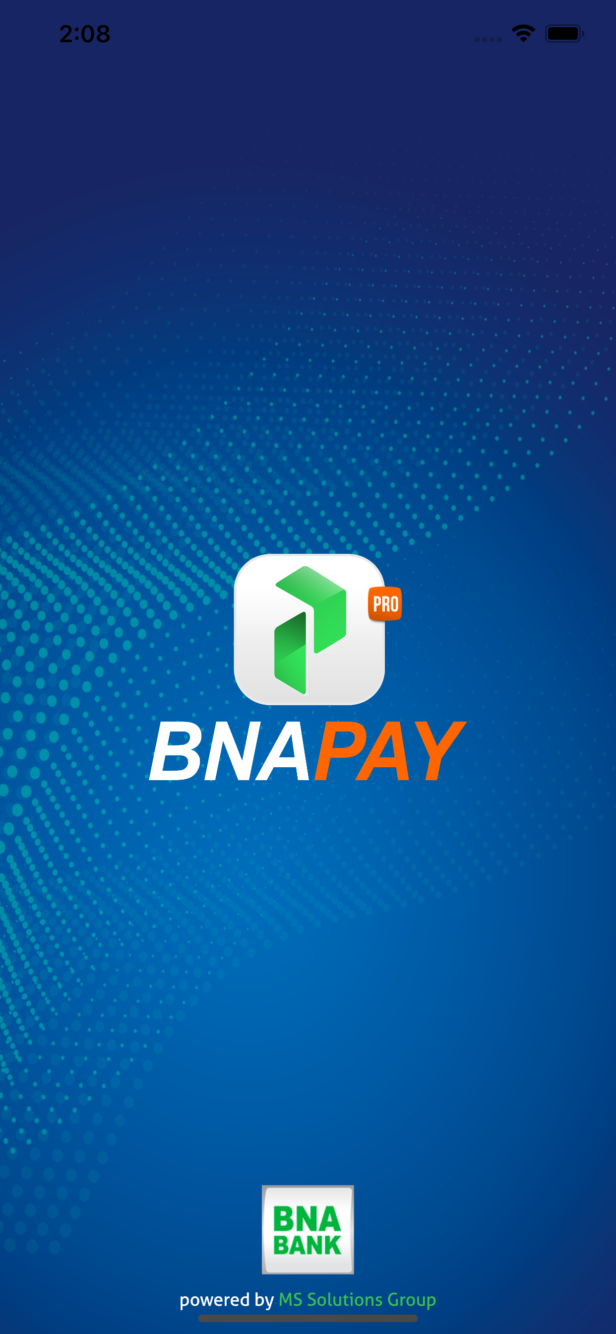 BNAPAY PRO
