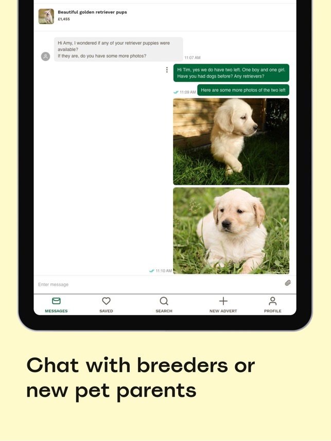Dog buying app online