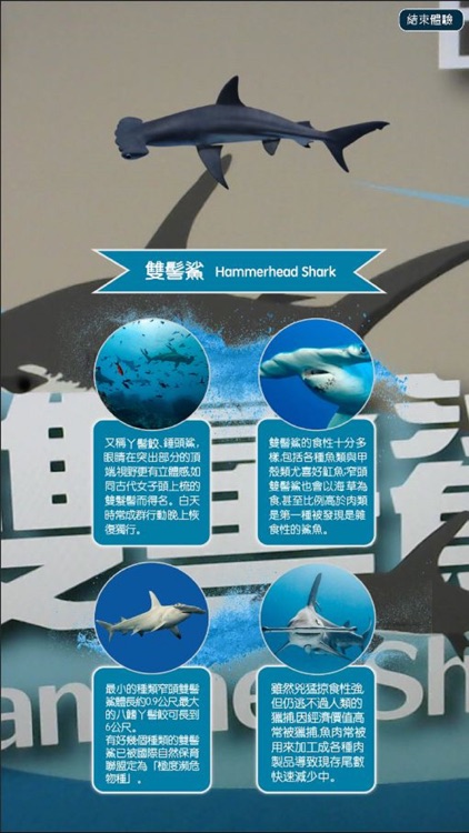 Oceanbox海洋生物AR互動圖鑑