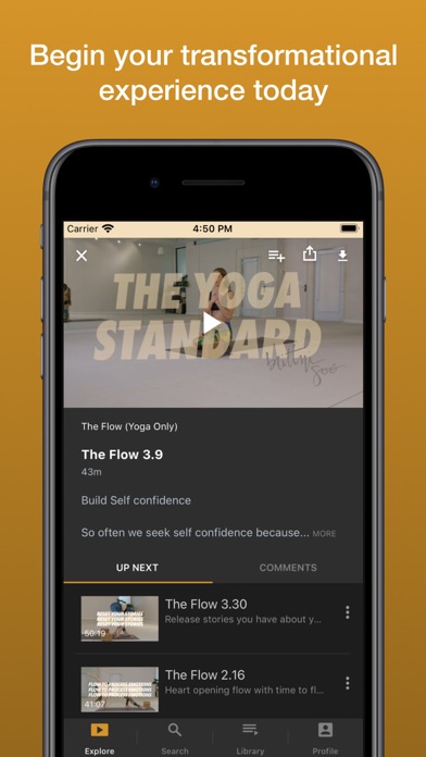 The Yoga Standard Screenshot