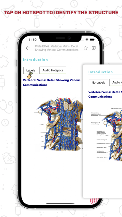 Screenshot #3 pour Human Anatomy Atlas +