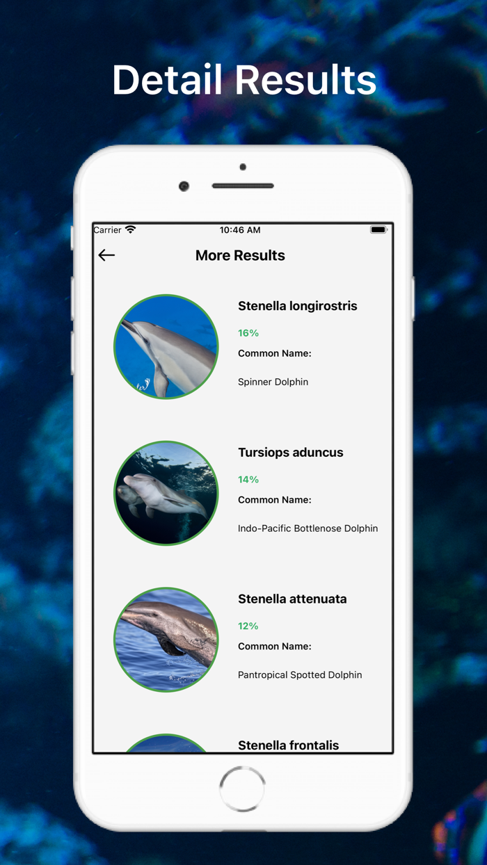 Fish Identification - Fish ID