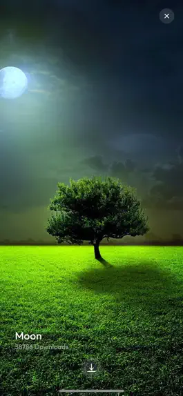 Game screenshot Wallpapers Premium apk