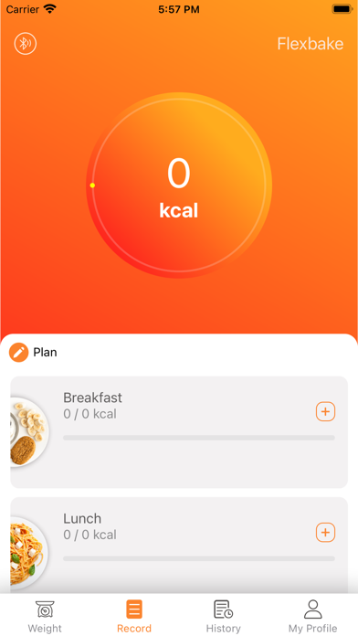 FlexBake Screenshot
