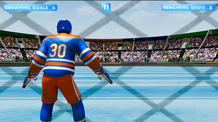 Ice Hockey Legends screenshot-4