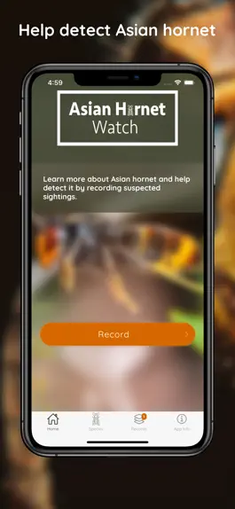 Game screenshot Asian Hornet Watch mod apk