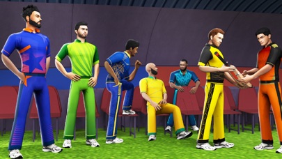 Play World Cricket League Screenshot