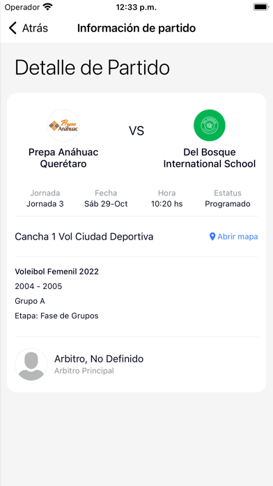 Torneo de la Amistad Screenshot