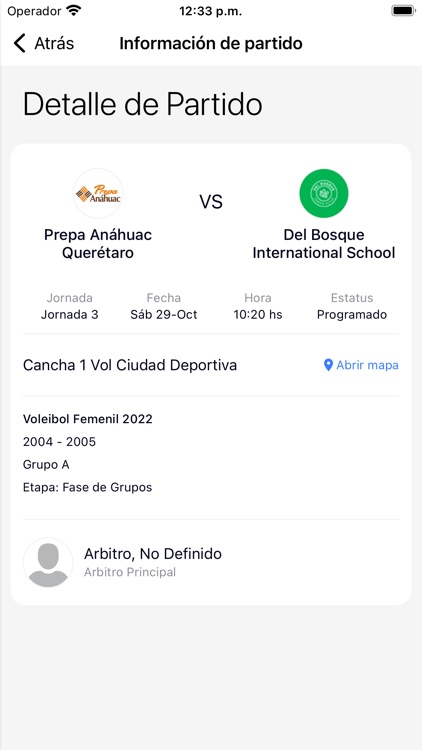 Torneo de la Amistad screenshot-3