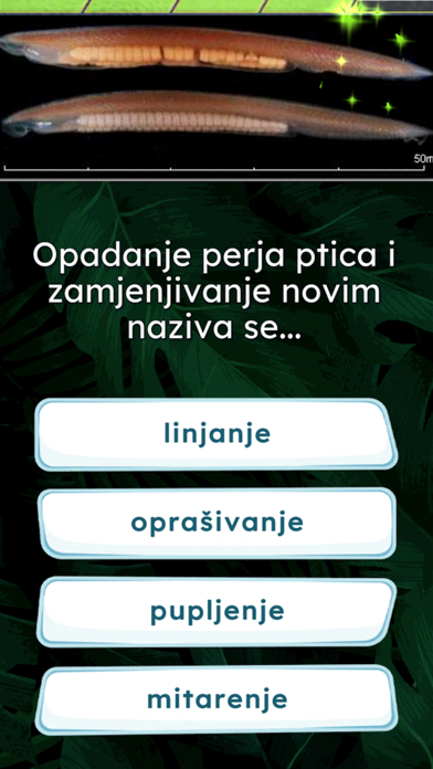 Zanimljiva Biologija 2 Screenshot