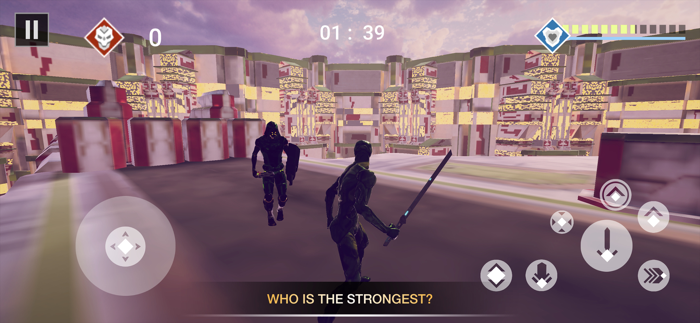 Blitz Arena Combats - Fighting