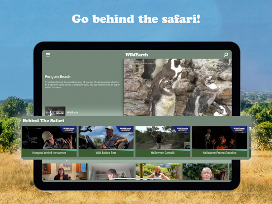 WildEarth TV - Nature Safari iPad screenshot 6 - Entertainment app