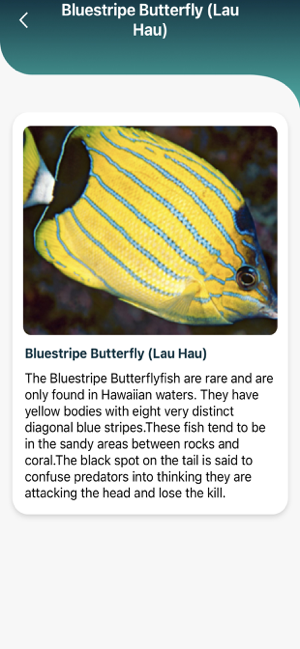 ‎Maui Snorkeling Guide Screenshot