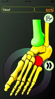 foot bones: speed anatomy quiz problems & solutions and troubleshooting guide - 3