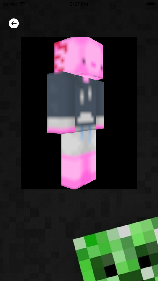#2. Axolotl Skins for Minecraft PE (iOS) By: Waqas sarfraz