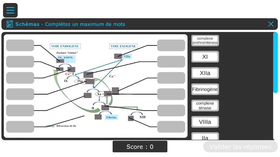 #3. VirtualPharma (macOS) 由: Aix Marseille Université