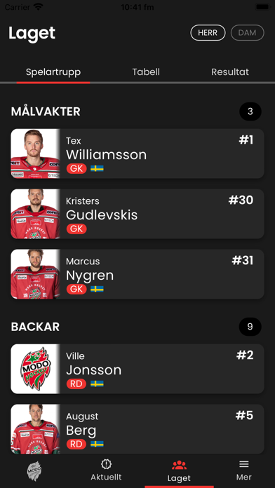 MoDo Hockey Screenshot