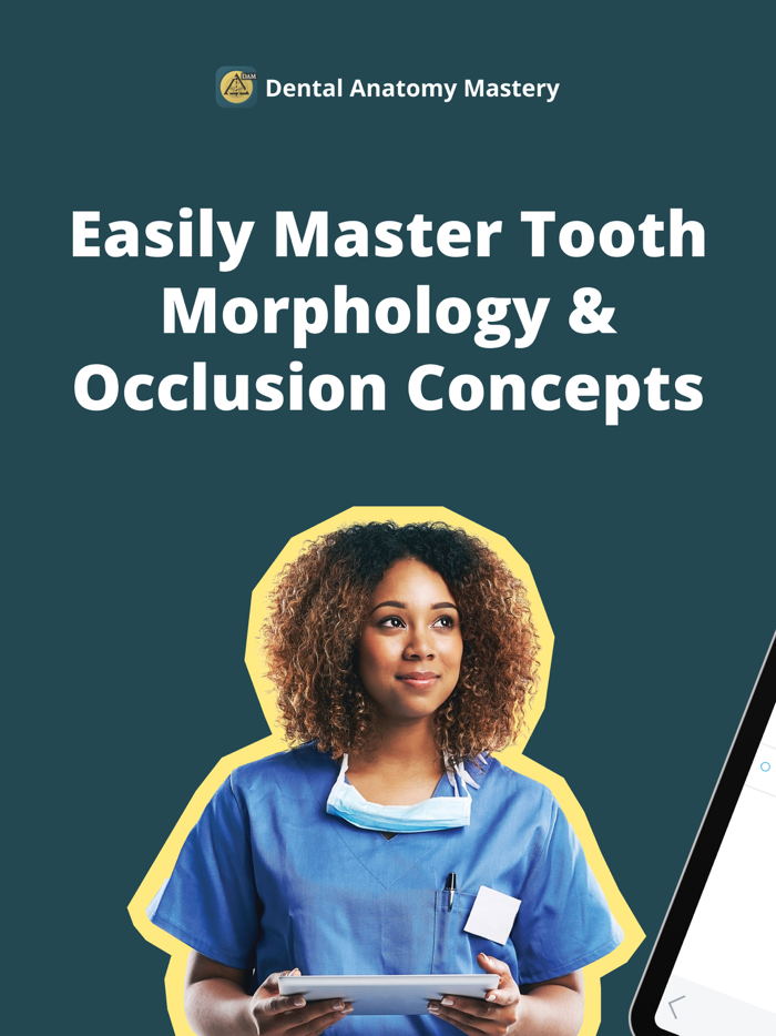Dental Anatomy Mastery