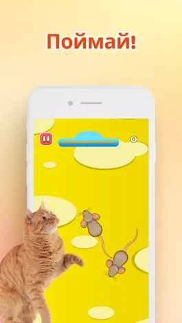 Game screenshot Игры для кошек－Кошки-Мышки mod apk