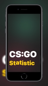 CS:GO Statistic screenshot