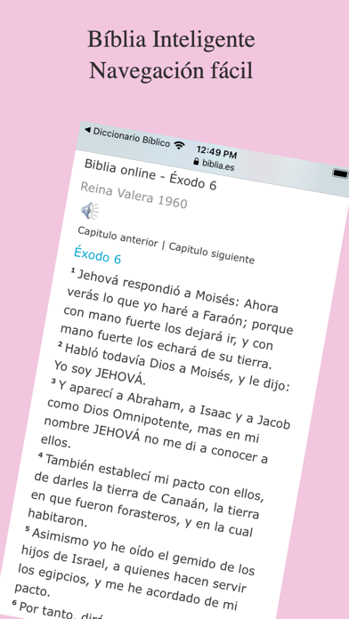 Diccionario Biblico Screenshot