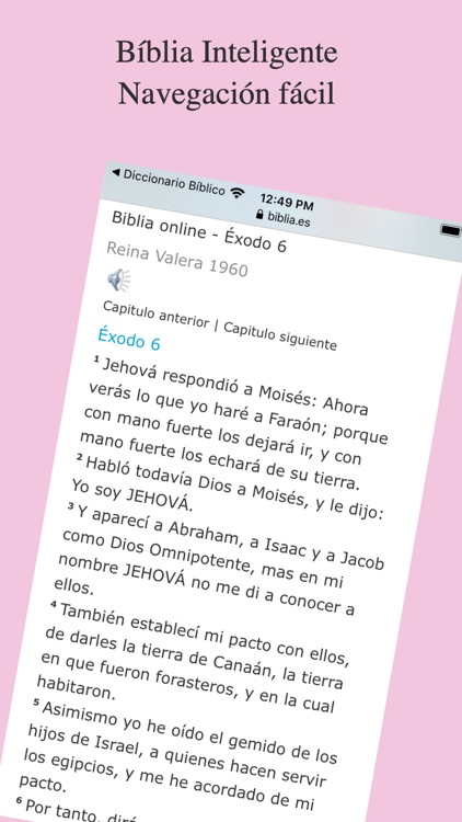 Diccionario Biblico screenshot-3