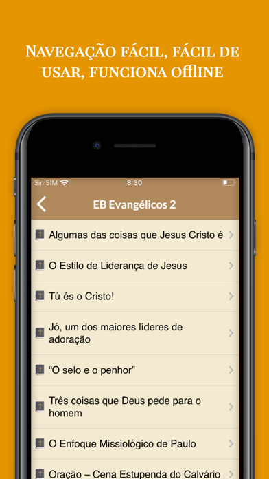 Estudos Bíblicos Evangélicos Screenshot