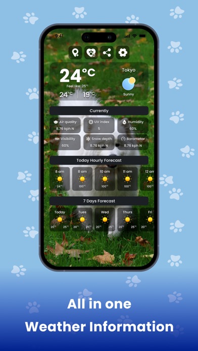 Weather Kitty - Cute Cat radar Screenshot