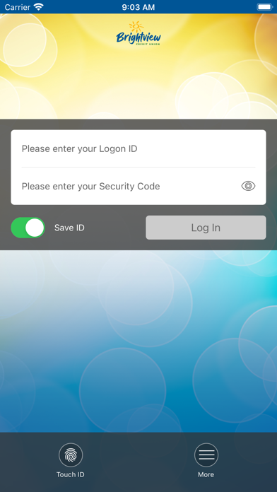 Brightview Credit Union Screenshot