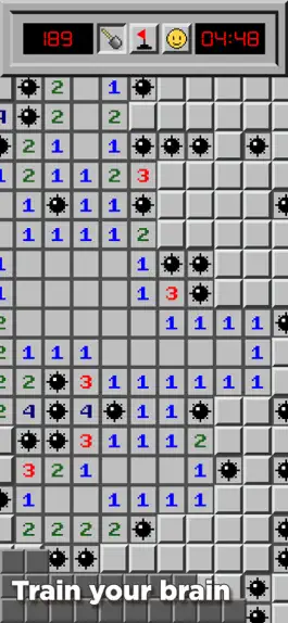 Game screenshot Minesweeper Classic 2023 apk