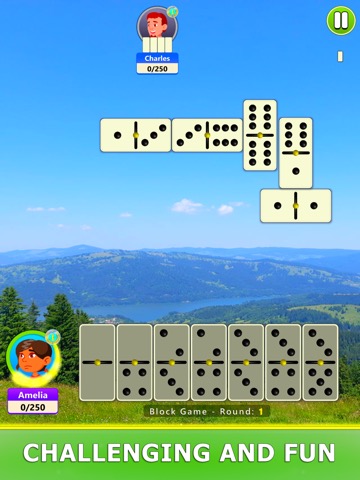 Dominoes Board Gameのおすすめ画像7