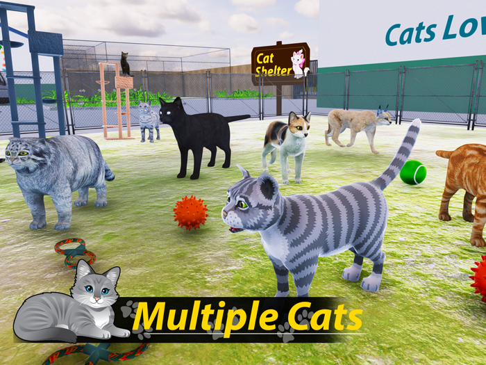 Cat Shelter Simulator My Pet