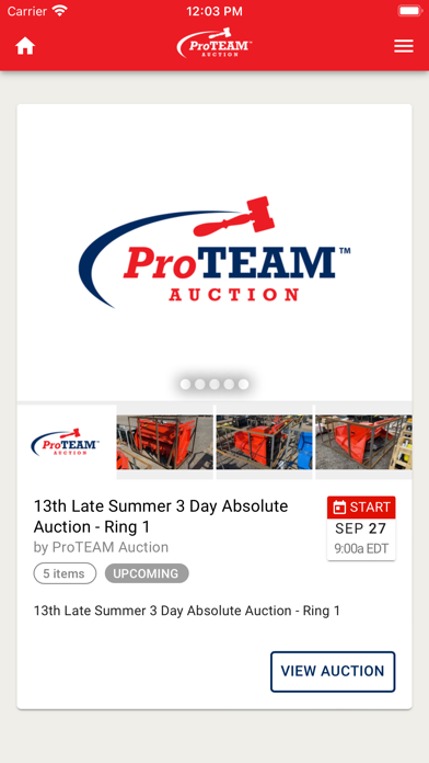 ProTEAM Auction Screenshot