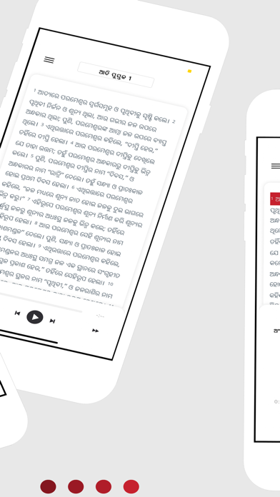 Screenshot 2 of Odia Bible App