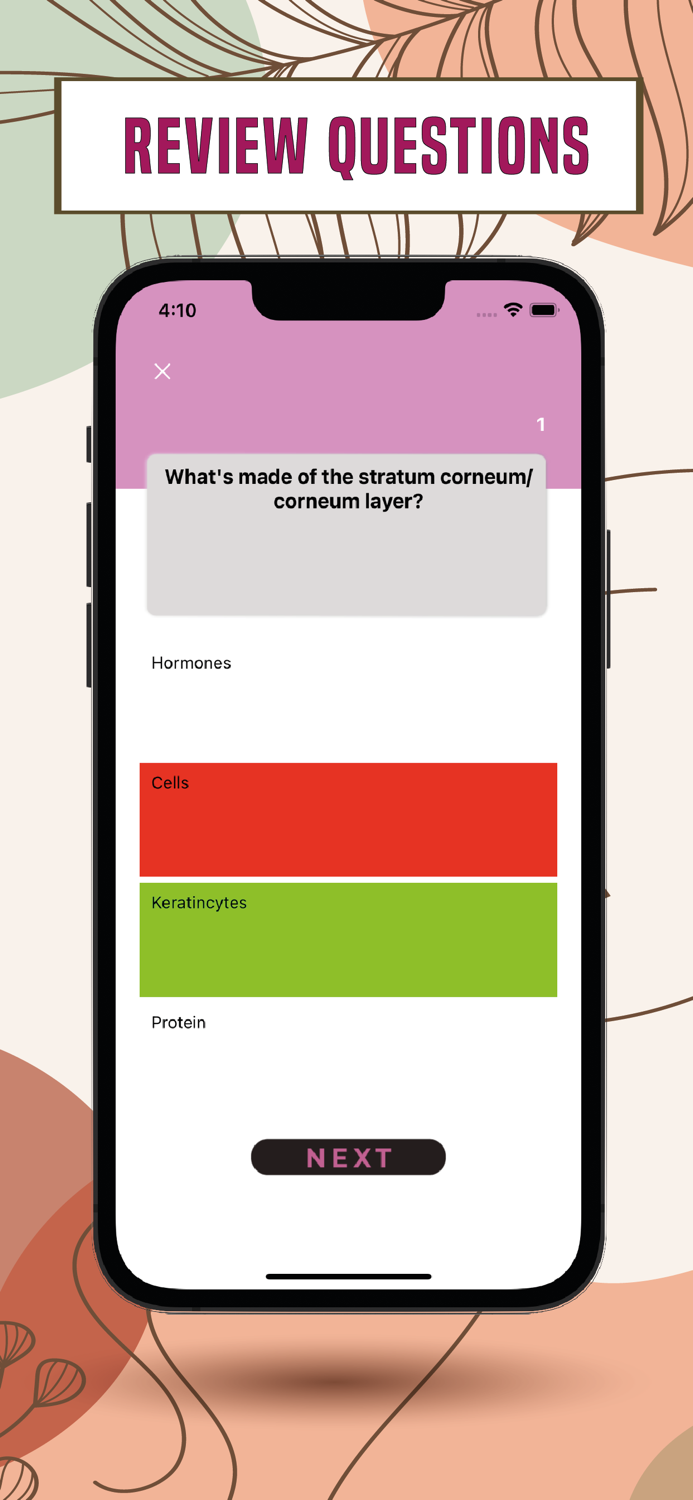 Mastering Esthetics Exam 2022